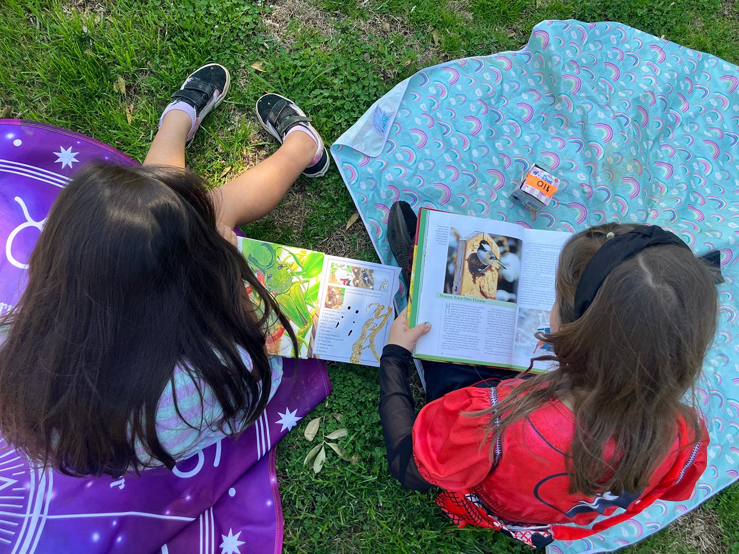Business of the Month – The Tree of Learning